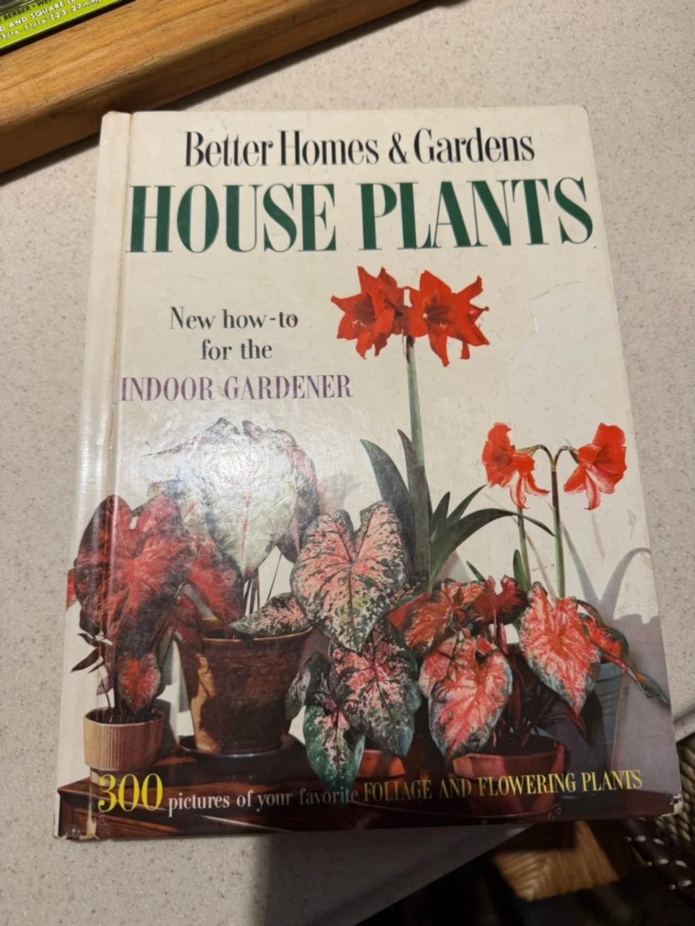 Better Homes And Gardens House Plants Book vintage - Picture 6 of 6